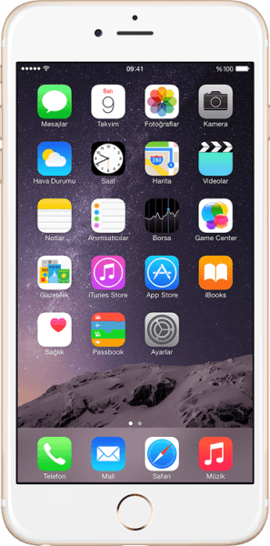 Apple iPhone 6 (16 GB)