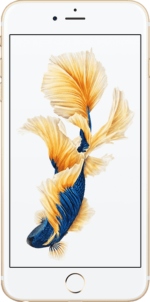 Apple iPhone 6S Plus (16 GB)