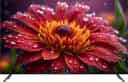 Haier LE43K800UGT 43" 4K (UHD) LED
