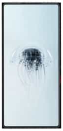 Nubia RedMagic 10 Pro (16 GB / 512 GB)