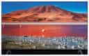 Samsung Class TU6950 82" 4K (UHD) LED
