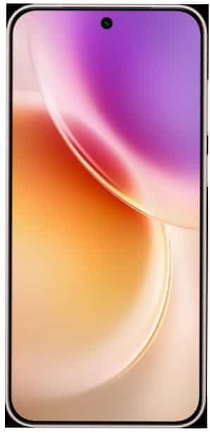 Vivo X300