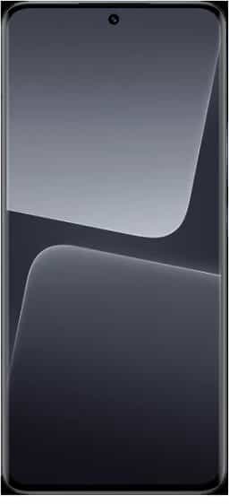 Xiaomi 13 Pro (256 GB)