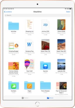 Apple iPad Air (2019) WiFi (256 GB)