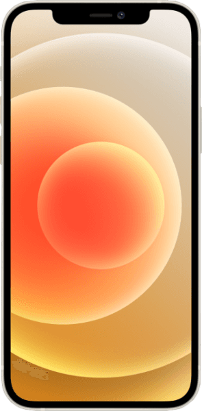 Apple iPhone 12 (256 GB)