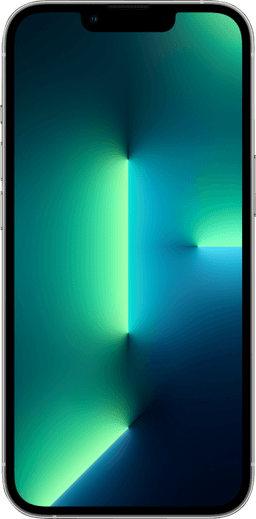 Apple iPhone 13 Pro (256 GB)