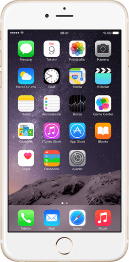 Apple iPhone 6 (16 GB)