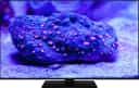 Hitachi Q43KA6360 43" 4K (UHD) QLED