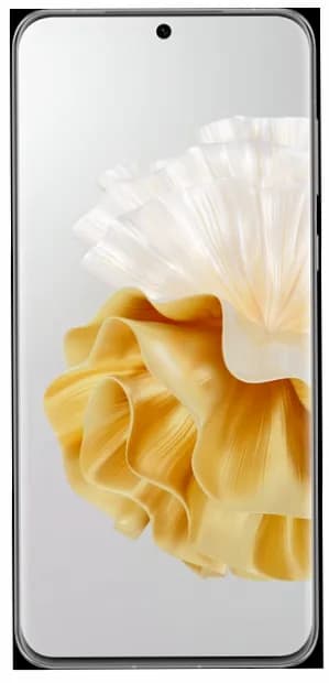 Huawei P60 Pro (8 GB / 256 GB)