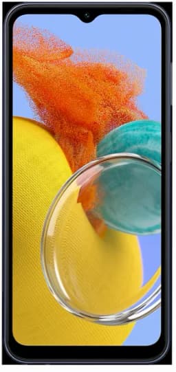 Samsung Galaxy M14 5G (64 GB)