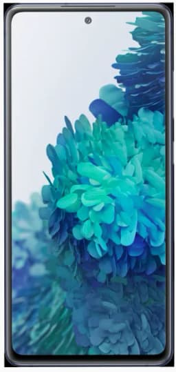 Samsung Galaxy S20 FE (256 GB)